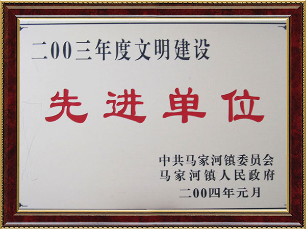 2003年度納稅先進(jìn)單位 2003年度納稅先進(jìn)單位